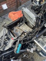 IMG_8076.jpeg IMG_8076.jpeg