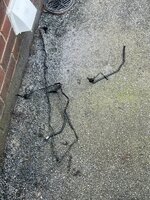 IMG_8077.jpeg IMG_8077.jpeg