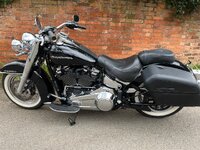 IMG_0800.jpeg