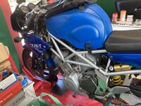 IMG_2894.jpeg IMG_2894.jpeg