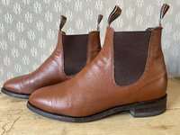 IMG_8093.jpeg