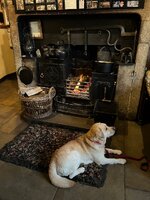 IMG_3648.jpeg