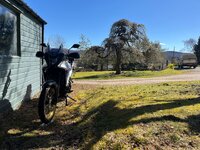 IMG_1324.jpeg