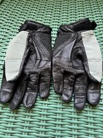 IMG_3626.jpeg