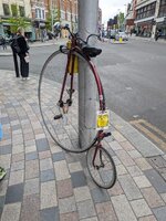 IMG_3042.jpeg