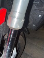 IMG_2893.jpeg