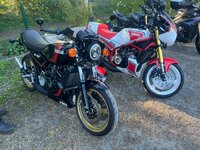 IMG_7553.jpeg