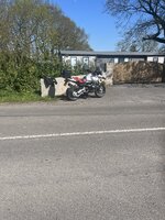 IMG_8099.jpeg IMG_8099.jpeg