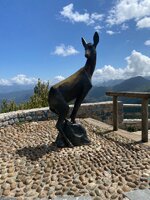 IMG_9092.jpeg