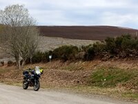 IMG_20260426_121726_SR.jpg