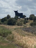 IMG_9295.jpeg