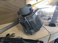IMG_8883.jpeg