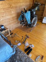 IMG_4503.jpeg