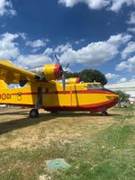 IMG_9478.jpeg