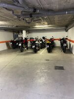 IMG_9534.jpeg