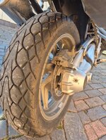 IMG_4277.jpeg
