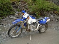 resize of stella200200133.jpg