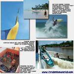gs_club_brazil_3_montage_light.jpg