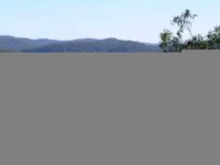wisemans ferry.jpg