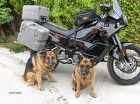 ktm C.jpg