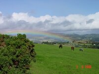 DSC06235A.JPG