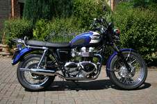 T100.gif