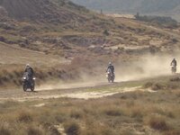 Smiler chasing Bigdave..JPG