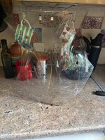 IMG_2969.jpeg