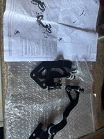 IMG_2965.jpeg