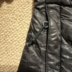 IMG_5549.jpeg