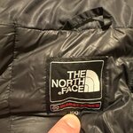 IMG_5531.jpeg