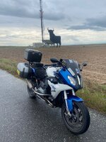 IMG_9543.jpeg