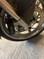 IMG_3115.jpeg