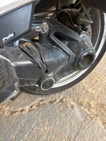 IMG_3109.jpeg