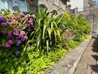 IMG_6060.jpeg