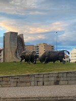 IMG_9635.jpeg