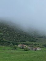 IMG_9690.jpeg