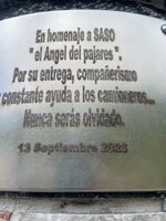 IMG_9741.jpeg