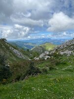 IMG_9854.jpeg