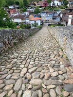 IMG_9877.jpeg