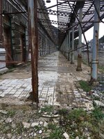 IMG_0390.JPG