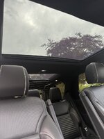 IMG_3791.jpeg