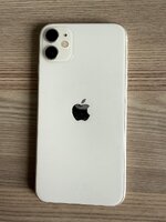 IMG_4450.jpeg