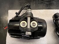 IMG_2975.jpeg