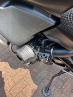 IMG_0078.jpeg
