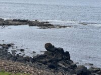 IMG_0569.jpeg