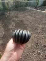 20260509_100853.jpg