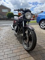 IMG_3927.jpeg