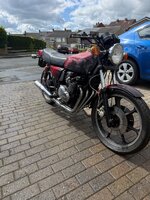 IMG_3928.jpeg