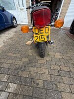 IMG_3934.jpeg